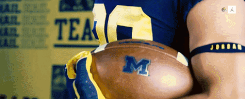 Go Blue Michigan Football GIF by Michigan Athletics