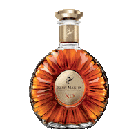 Cognac Sticker by Rémy Martin