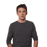 Mbga Make Belgium Great Again Sticker by RTL Belgium