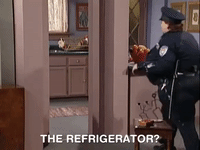 all that nicksplat GIF