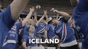 football fans GIF by COPA90