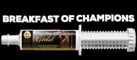PerfectProducts equestrian dressage eventing horse show GIF