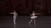 pas de deux nutcracker GIF by New York City Ballet