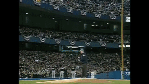 bush pitch GIF