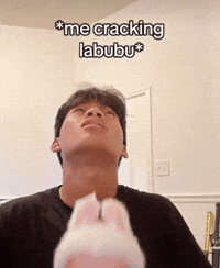 Labubu Cracking GIF