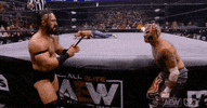 Rey Fenix Wrestling GIF by AEWonTV