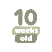 Baby Age Sticker by westeggpress