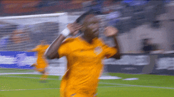 Major League Soccer Football GIF by Houston Dynamo
