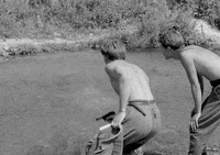 Film Hungarian GIF