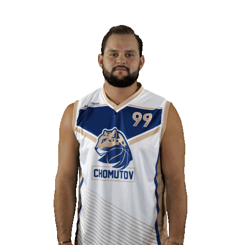 Basketball Sticker by Levharti