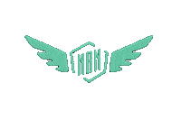 fly wings Sticker by New Balance
