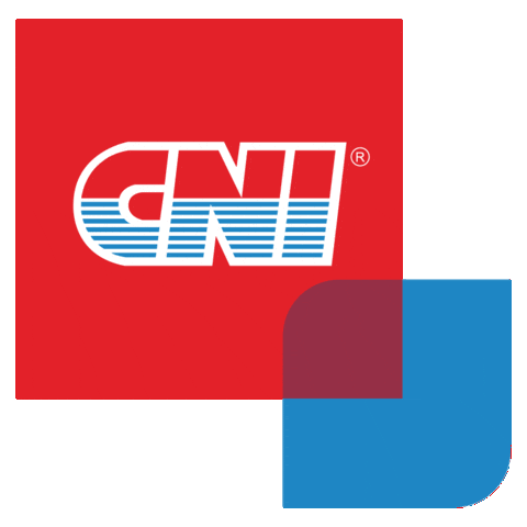 Cnigif Sticker by CNI