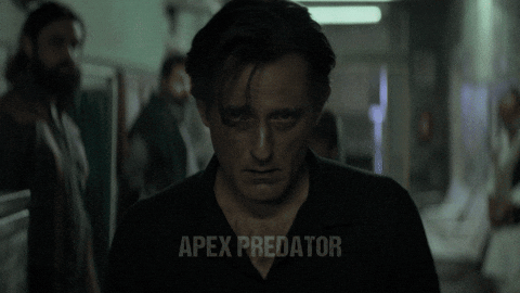 Ranveer Singh Trailer GIF by Jio Studios