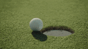 Super Bowl Michelob Ultra GIF by ADWEEK