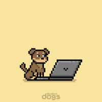 Do It Yes GIF by Doginal Dogs