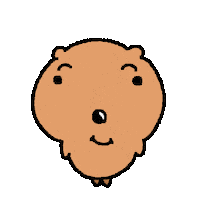 Quokka Sticker