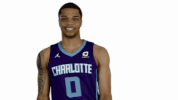 charlotte hornets yes GIF by NBA