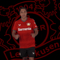 Happy Goal GIF by Bayer 04 Leverkusen