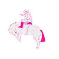 Mirrormang horse cowboy western rodeo Sticker
