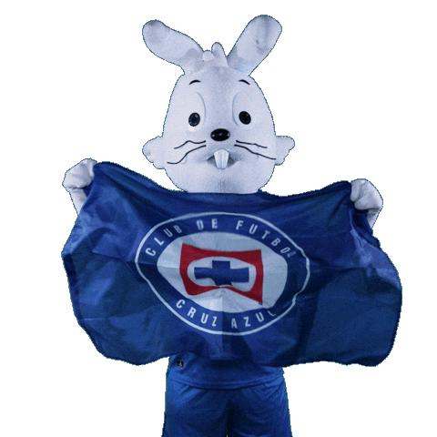 Liga Mx Soccer Sticker by Club de Futbol Cruz Azul