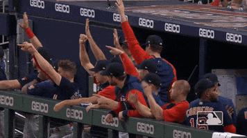 Lets Go Sport GIF by MLB