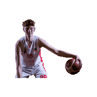 Brno Necas Sticker by ngbasket