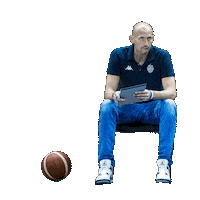 Coach Sticker by ngbasket