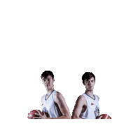 Basket Brno Sticker by ngbasket