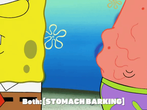 season 5 episode 3 GIF by SpongeBob SquarePants