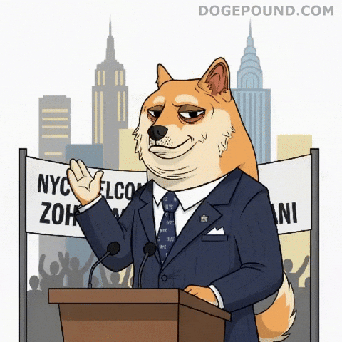 New York City Hello GIF by Doge Pound