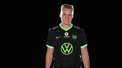 E Sports Sport GIF by VfL Wolfsburg
