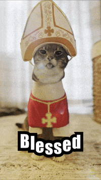 Pope GIF