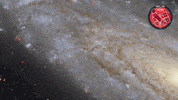 Stars Universe GIF by ESA/Hubble Space Telescope