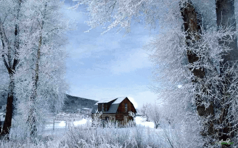 natural beauty GIF