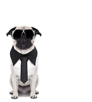 Wedding Dogs Sticker by Generation Tux