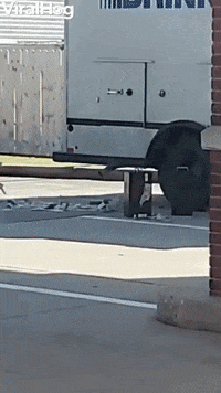 Money Blows Away In The Breeze GIF by ViralHog