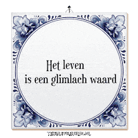 Humor Hoop Sticker by Tegelspreuken.nl