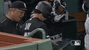 regular season baseball GIF by MLB