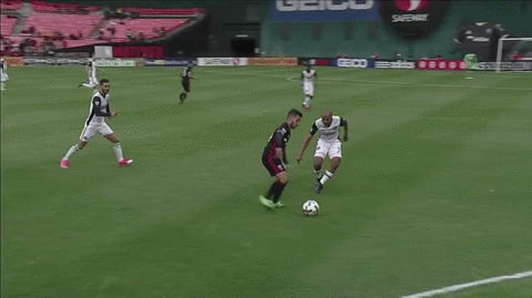 soccer mls GIF by D.C. United