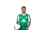 Leonardo Bittencourt Bundesliga Sticker by SV Werder Bremen