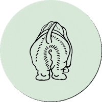 Sticker by Llibreria Finestres