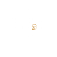 northernprimrose northernprimrose Sticker