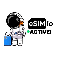 Esim Sticker by Teknasyon
