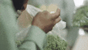 viceland GIF by WEEDIQUETTE