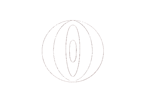 Circles Sticker