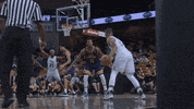 GIF by UCF Knights