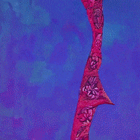 P5Js GIF