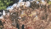 Travel Adventure GIF by Rahi