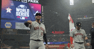 World Series Sport GIF by MLB