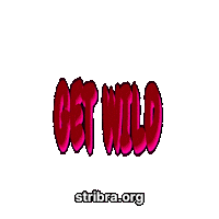 Get Wild Neon Sticker by stribra